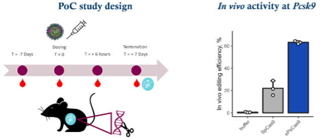 PCSK9：从“降脂明星”到肝脏靶向疗法“概念验证标准靶点”