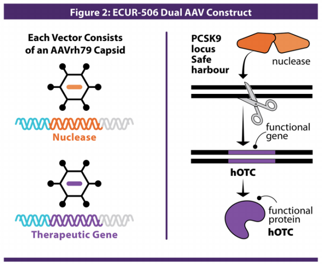 PCSK9：从“降脂明星”到肝脏靶向疗法“概念验证标准靶点”