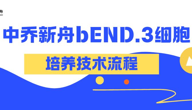中乔新舟bEnd.3细胞培养技术流程！