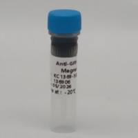 Anti-GFP Nanobody Magnetic beads