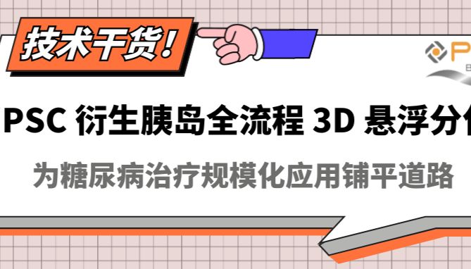 iPSC衍生胰岛全流程3D悬浮分化，助力糖尿病治疗规模化应用