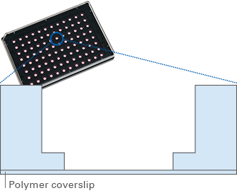 类器官：载玻片之上的「迷你实验室」