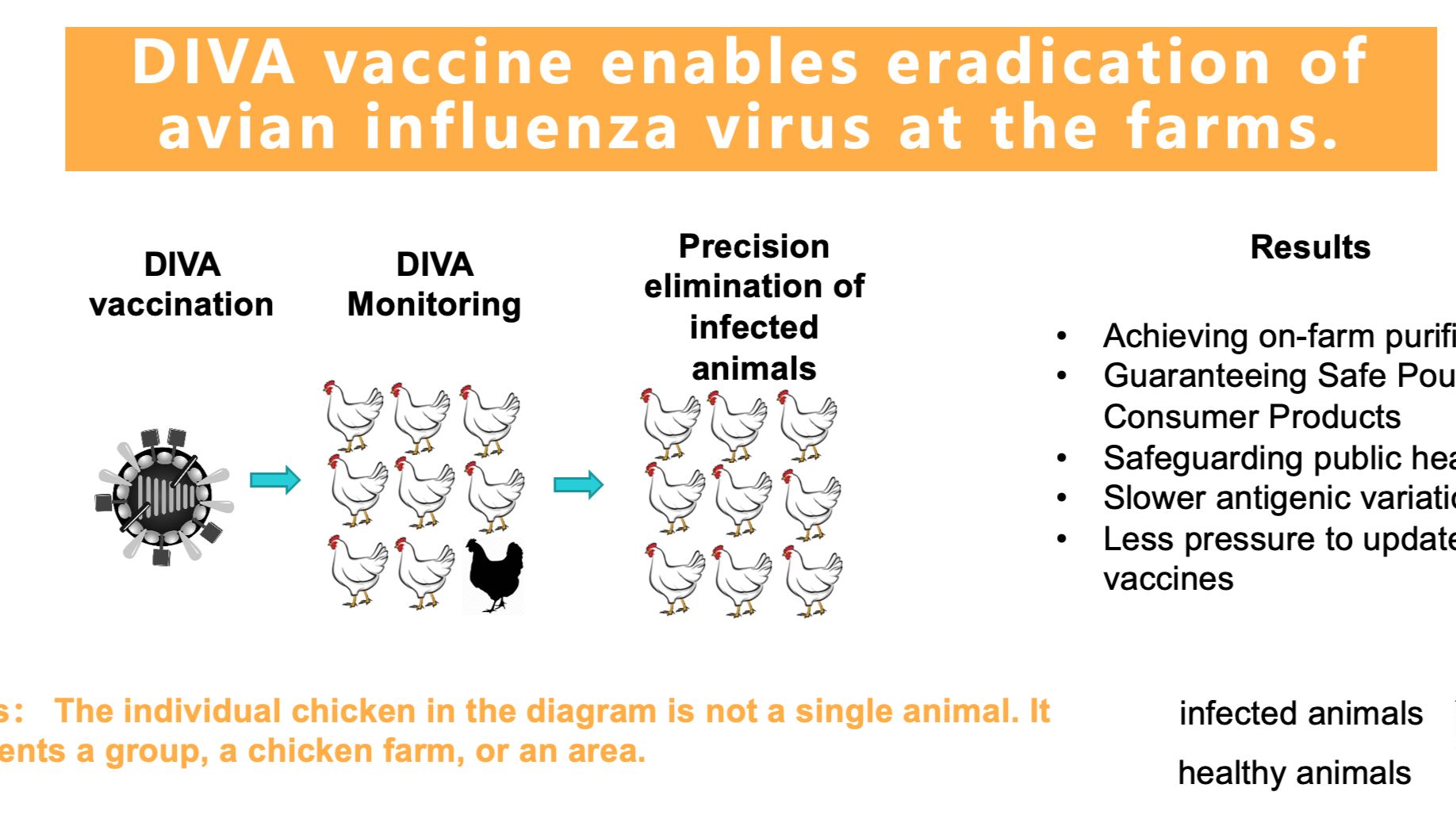 「DIFF Shield」食品产业链保障｜区分感染和免疫动物疫苗