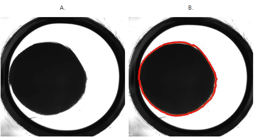 安捷伦 Seahorse XF Flex 分析仪：用于脑组织和其他 3D 模型实时代谢分析的先进系统