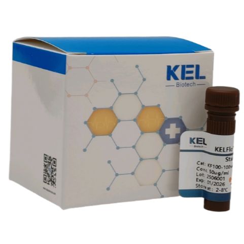 KELFlo™ 7-AAD Viability Staining Solution 7AAD活性染色液