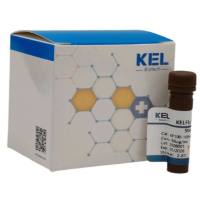 KELFlo™ 7-AAD Viability Staining Solution 7AAD活性染色液