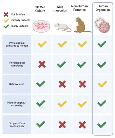 类器官：载玻片之上的「迷你实验室」