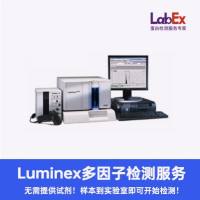 感染性疾病多重免疫分析：IL-8/IL-10/IL-12p70/IL-13/TNF-α 联合检测技术