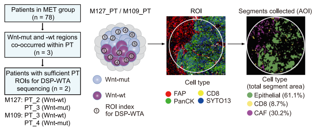技术资料图片14