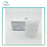 凯基 KGDN4100 DEPC水 100ML 