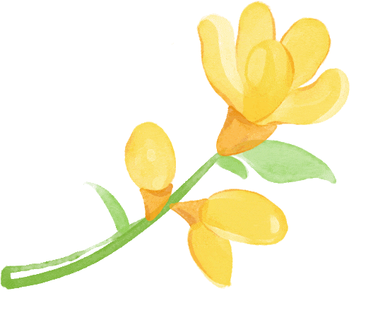 赛多利斯Ph计PB-30/PB-30L/PB-10