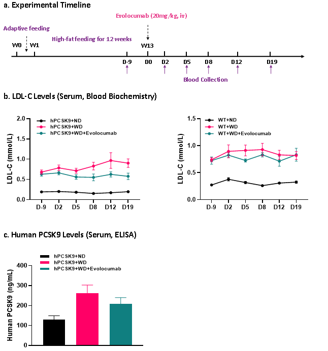 PCSK9：从“降脂明星”到肝脏靶向疗法“概念验证标准靶点”
