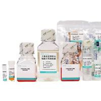 大鼠神经星形胶质细胞分离培养试剂盒