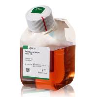  Gibco 巴西优级胎牛血清