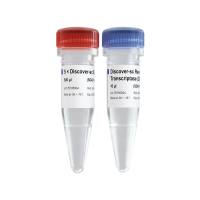 Discover-sc Reverse Transcriptase( SC401)