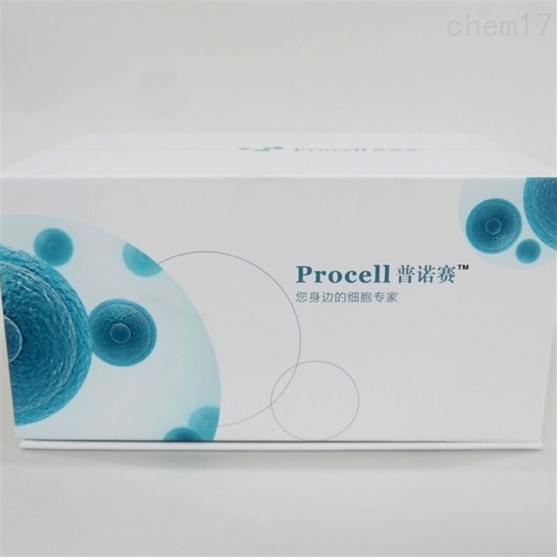 RAW 264.7细胞 (小鼠单核巨噬细胞白血病细胞) (STR鉴定正确)