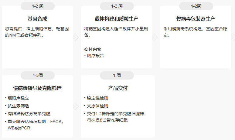 过表达稳定细胞系（株）构建服务