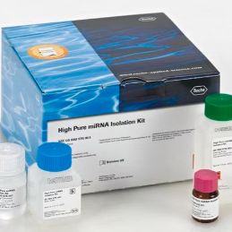 Roche 现货 High Pure miRNA Isolation Kit 从细胞、组织、植物样本中提取miRNA 5080576001