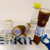 Anti-GAPDH Monoclonal Antibody 内参抗体抗GAPDH小鼠源单克隆抗体