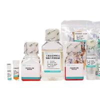 小鼠脑微血管周细胞分离培养试剂盒