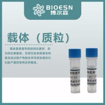 pExpress-1-Cbr1(rat)