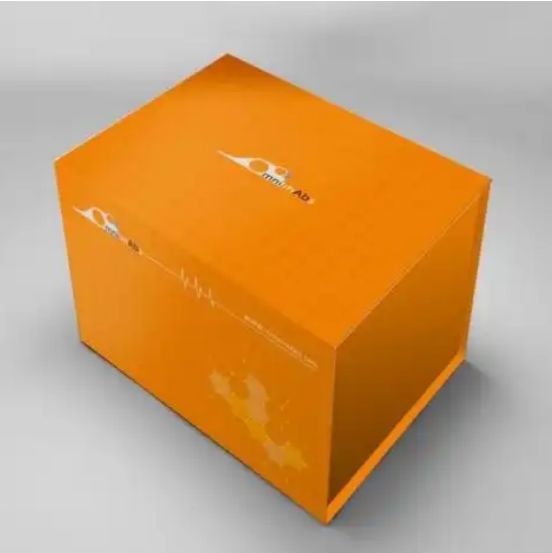 PVDF 膜 0.2 μm  6 cm × 8 cm