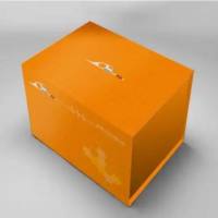 PVDF 膜 0.2 μm  6 cm × 8 cm