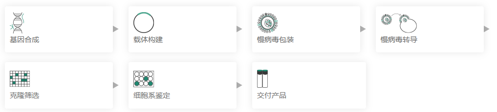 过表达稳定细胞系（株）构建服务