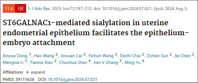 糖基化的新角色：如何在子宫内膜中为胚胎着床铺路？