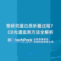 想研究蛋白质折叠过程？CD光谱监测方法全解析