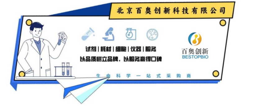 人 LOXL2 蛋白, His 标签 (active 酶)