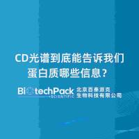 CD光谱到底能告诉我们蛋白质哪些信息?