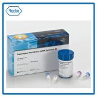 Roche 4896866001 转录酶 cDNA 合成试剂盒