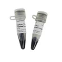 Thermo Scientific PageRuler™ Plus 预染蛋白分子量标准，10 至 250 kDa