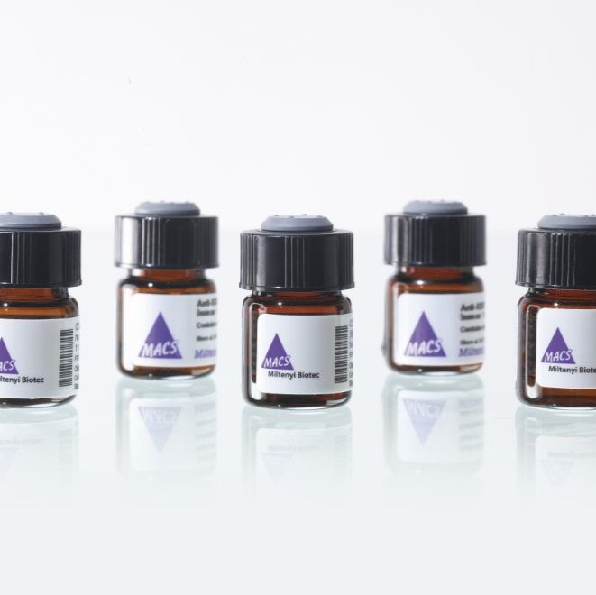 MACS® All-In-One Comp Bead Kit