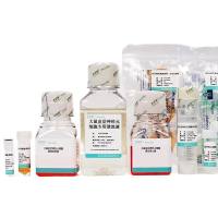 小鼠皮层神经元细胞分离培养试剂盒