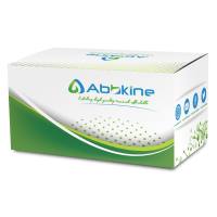 CheKine™ 土壤中性转化酶（S-NI）活性检测试剂盒（微量法）