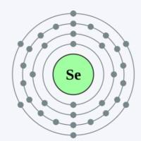 负载白藜芦醇的硒纳米颗粒被壳聚糖修饰 RES@Se NPs-Chitosan