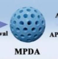 负载杨梅素的聚多巴胺纳米颗粒被红细胞膜包裹 Myricetin@PDA NPs@RBCm