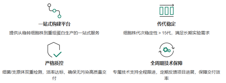 过表达稳定细胞系（株）构建服务