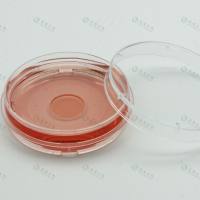 上海晶安35mm激光共聚焦细胞培养皿/直径14mm20mm活细胞玻璃底皿