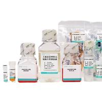 小鼠神经干细胞分离培养试剂盒