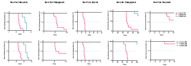 脊髓性肌萎缩症（SMA）全谱系模型：携带不同SMN2拷贝数的人源化小鼠
