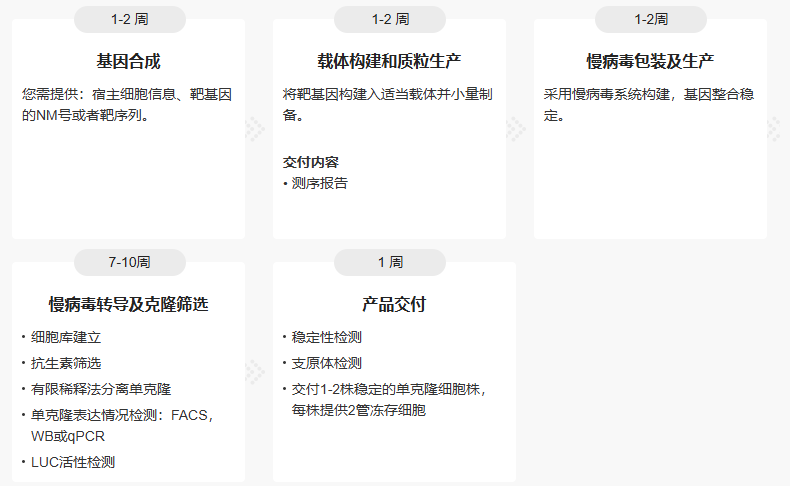 过表达稳定细胞系（株）构建服务