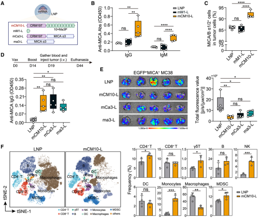 浙大二院团队开发新型mRNA疫苗，有望抑制肿瘤转移