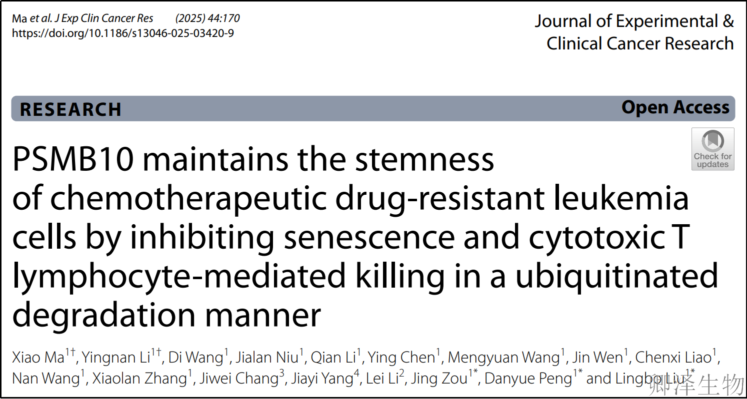 【客户文章】 | 靶向PSMB10：破解白血病耐药复发的新钥匙