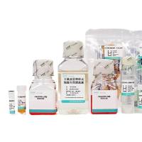 大鼠肺大动脉内皮细胞分离培养试剂盒(P-CA-608)