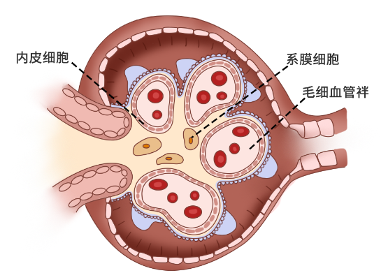 技术资料图片4