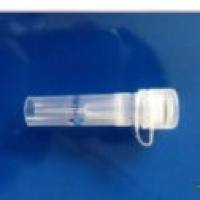 anti-β II tubulin Mouse Monoclonal Antibody(Mix) (Rodent Preferred)