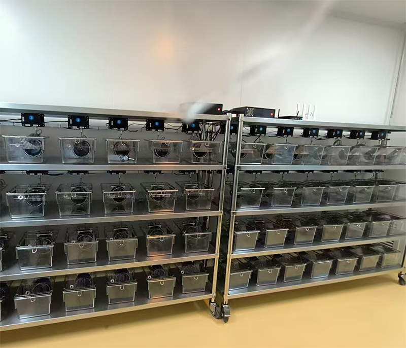 KW-JL大小鼠转轮节律分析系统